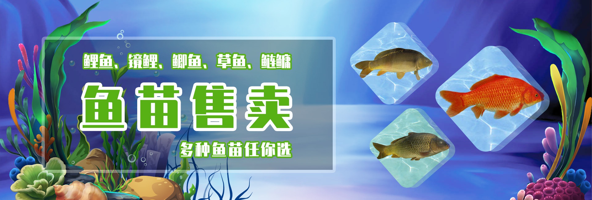 &#112;&#112;&#30005;&#23376;&#40;&#20013;&#22269;&#21306;&#41;&#23448;&#26041;&#32593;&#31449;