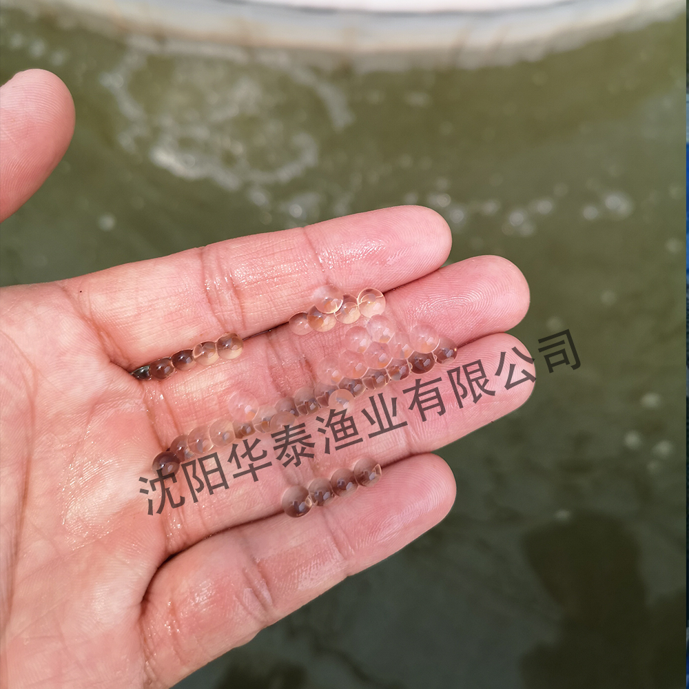&#112;&#112;&#30005;&#23376;&#40;&#20013;&#22269;&#21306;&#41;&#23448;&#26041;&#32593;&#31449;